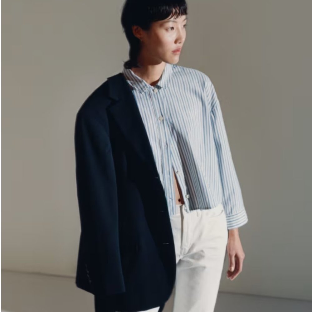 NWT Everlane 100% cotton blue stripe cropped button down dress shirt S